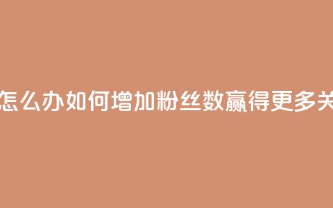 粉丝太少怎么办 - 如何增加粉丝数？赢得更多关注! 第1张
