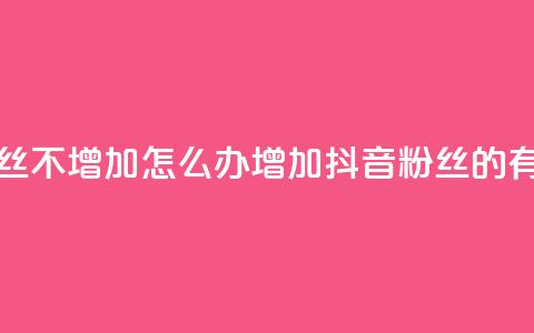 抖音粉丝不增加怎么办(增加抖音粉丝的有效方法) 第1张 抖音粉丝不增加怎么办(增加抖音粉丝的有效方法) 第1张