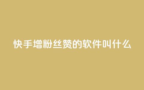 快手增粉丝赞的软件叫什么 - 快速提升快手粉丝和点赞量的推荐软件	。 第1张