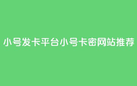 ks小号发卡平台(KS小号卡密网站推荐) 第1张 ks小号发卡平台(KS小号卡密网站推荐) 第1张