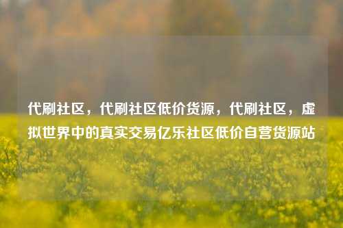 代刷社区	，代刷社区低价货源，代刷社区，虚拟世界中的真实交易亿乐社区低价自营货源站  第1张