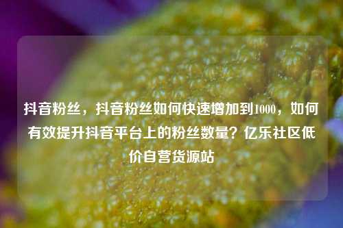 抖音粉丝，抖音粉丝如何快速增加到1000，如何有效提升抖音平台上的粉丝数量？亿乐社区低价自营货源站  第1张